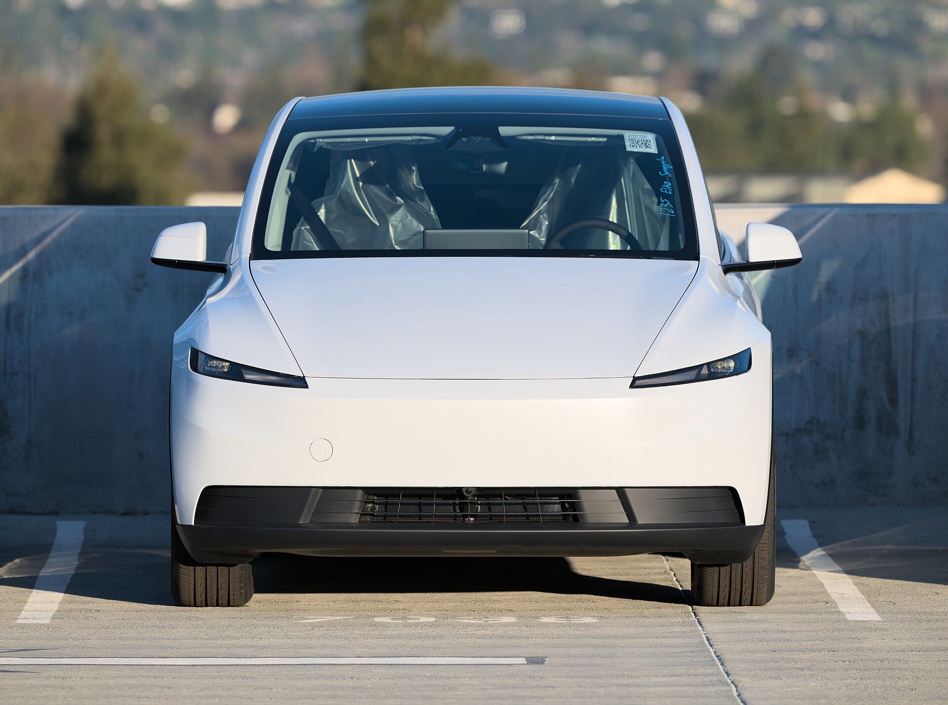 Tesla Model Y, one of the leading electric vehicles in Australia